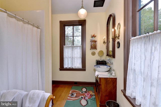 bathroom featuring hardwood / wood-style flooring and vanity