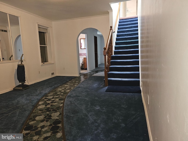 interior space featuring crown molding and carpet