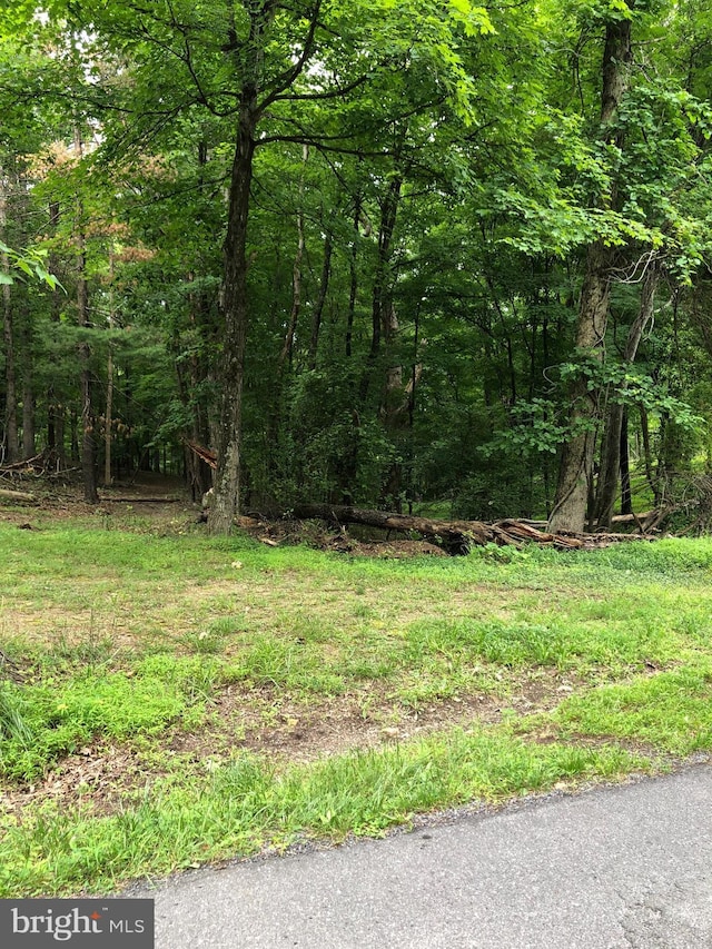 Timber Rdg, Berkeley Springs WV, 25411 land for sale