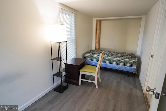 bedroom featuring dark wood-type flooring