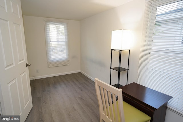 unfurnished office featuring wood-type flooring