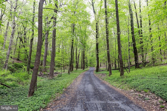 view of road