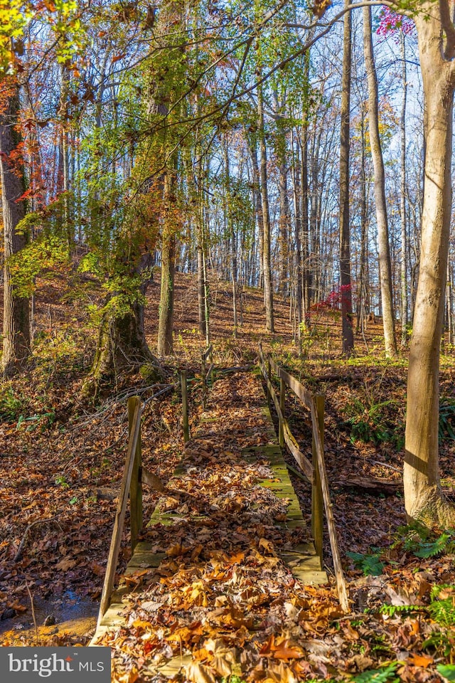 Hillside, Lutherville Timonium, MD 21093 - view of nature