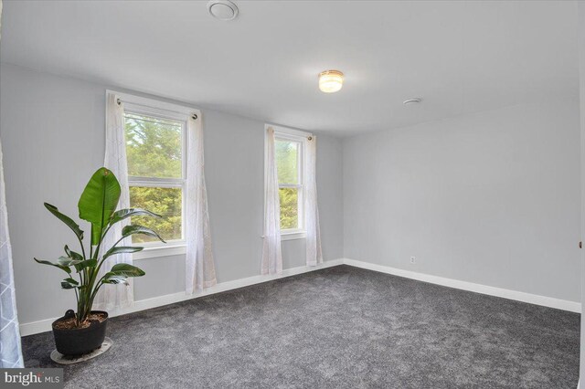 carpeted empty room with a wealth of natural light