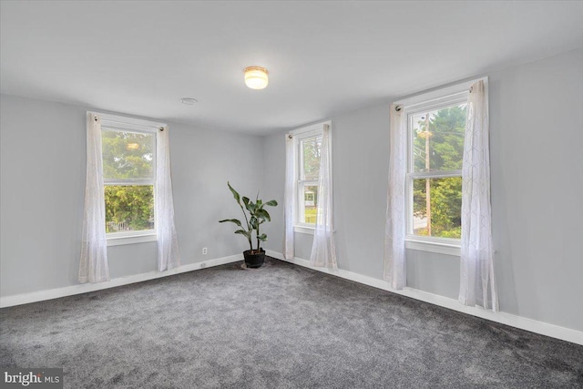 carpeted empty room featuring a wealth of natural light