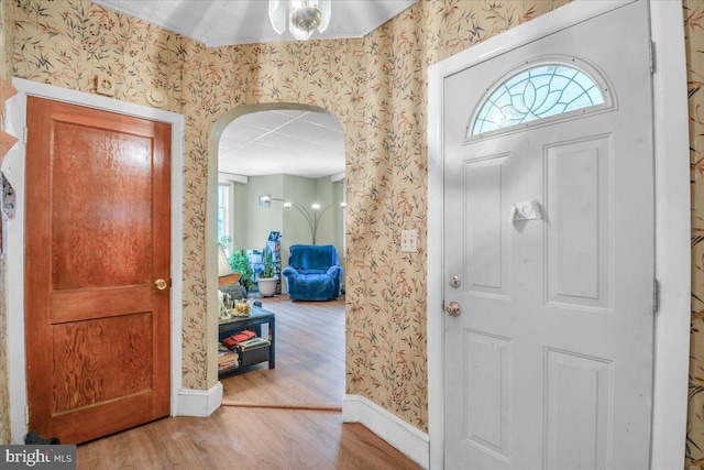 entrance foyer with light hardwood / wood-style flooring