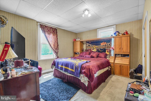 carpeted bedroom with a paneled ceiling and multiple windows