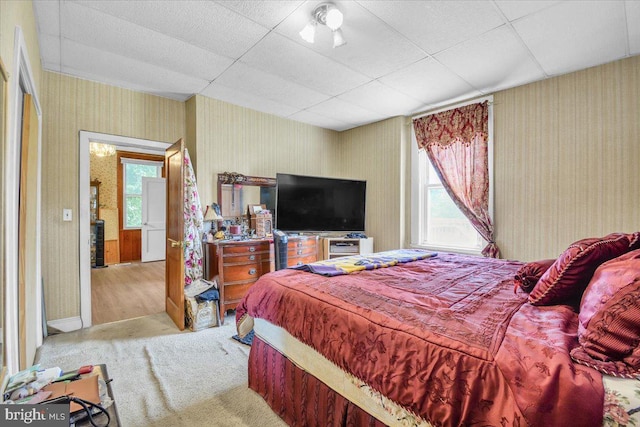 carpeted bedroom with a paneled ceiling and multiple windows