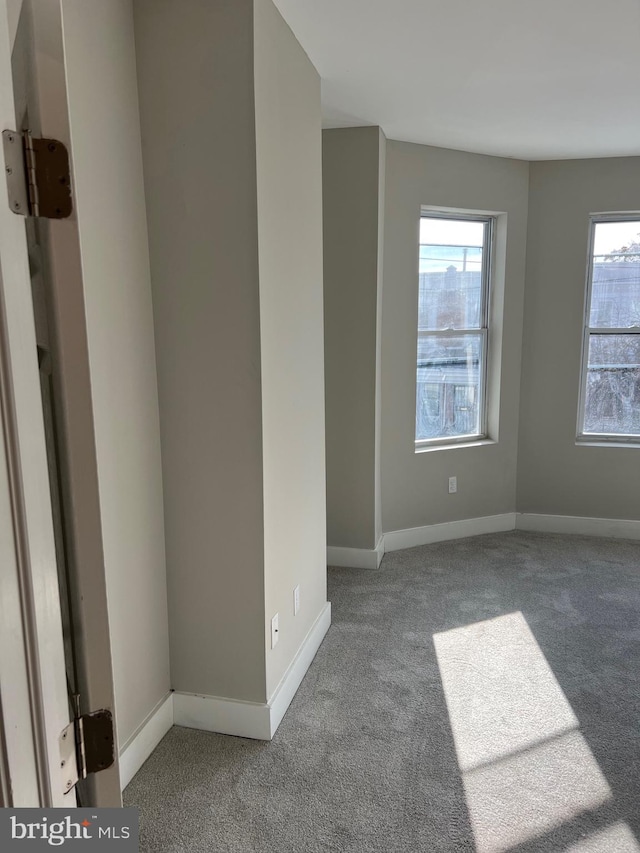 carpeted empty room with a healthy amount of sunlight