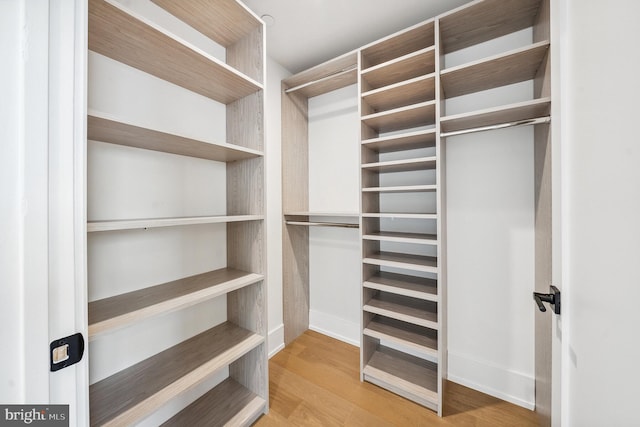 spacious closet with light hardwood / wood-style flooring