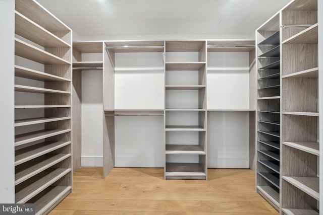 walk in closet featuring light wood-type flooring