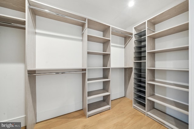 walk in closet with light hardwood / wood-style flooring