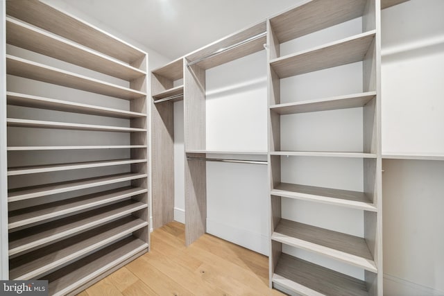 walk in closet featuring light wood-type flooring