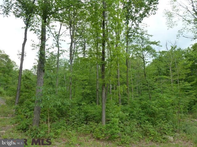 Listing photo 2 for LOT23 Tillamook Ln, Saxton PA 16678