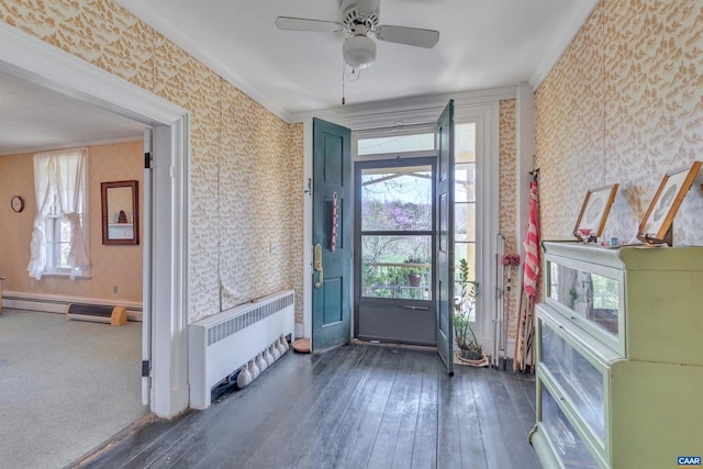 doorway to outside featuring dark hardwood / wood-style floors, ceiling fan, and radiator