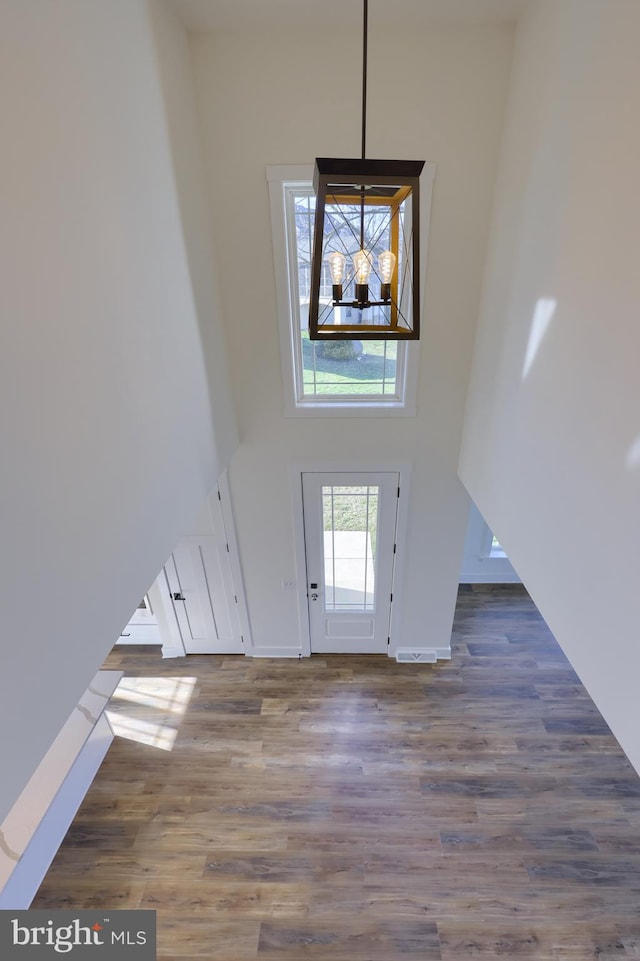 entryway with hardwood / wood-style flooring and a towering ceiling