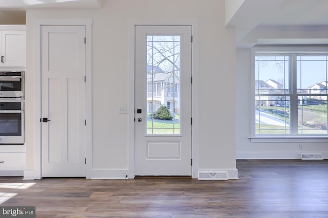 foyer entrance featuring a healthy amount of sunlight and hardwood / wood-style flooring