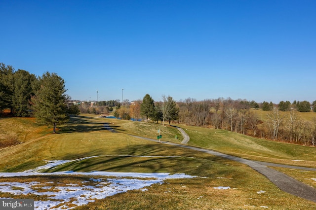 view of community with a yard