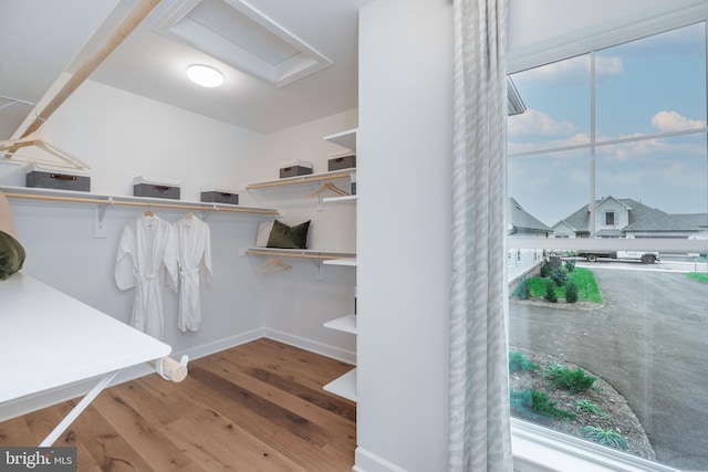 walk in closet featuring hardwood / wood-style flooring