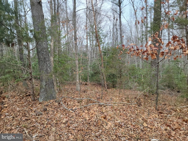 Flat Iron Rd, Montross VA, 22520 land for sale