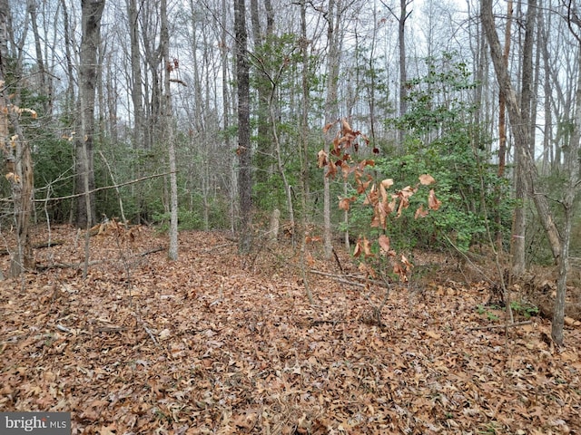 Listing photo 3 for Flat Iron Rd, Montross VA 22520