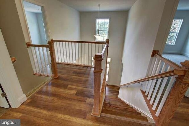 staircase featuring baseboards and wood finished floors