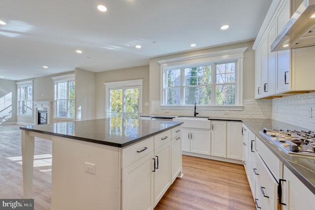 kitchen with range hood, tasteful backsplash, light wood-type flooring, and a sink