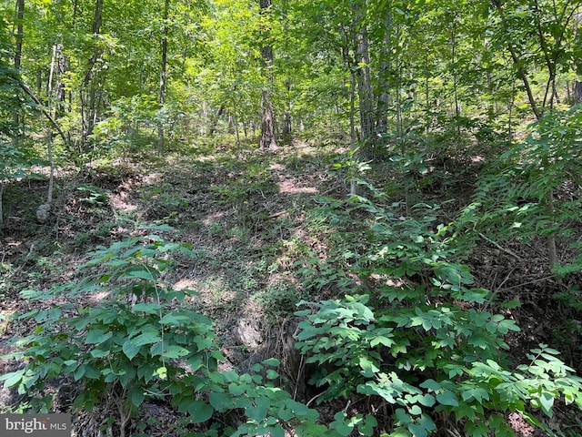 Hill Rd, Warfordsburg PA, 17267 land for sale