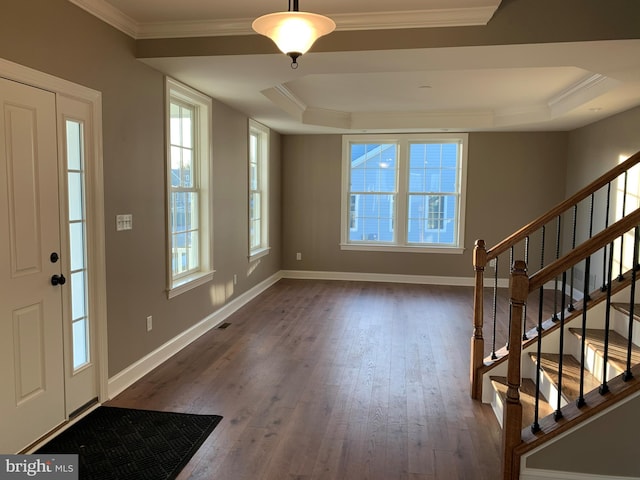 entrance foyer with dark hardwood / wood-style flooring, ornamental molding, a tray ceiling, and a healthy amount of sunlight