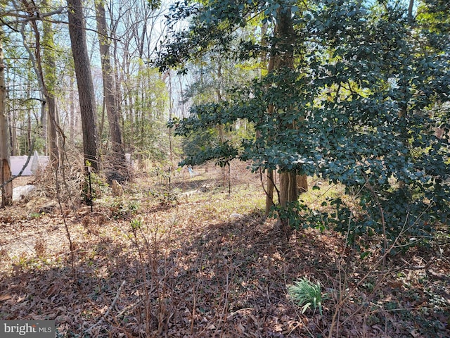 view of nature