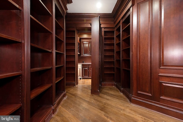 spacious closet with wood-type flooring