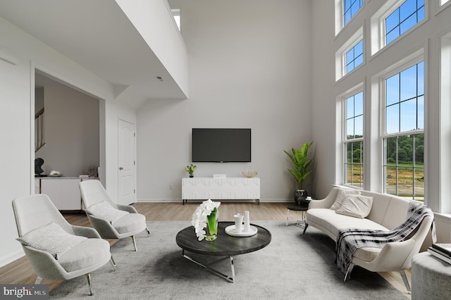 living room with a high ceiling and wood-type flooring