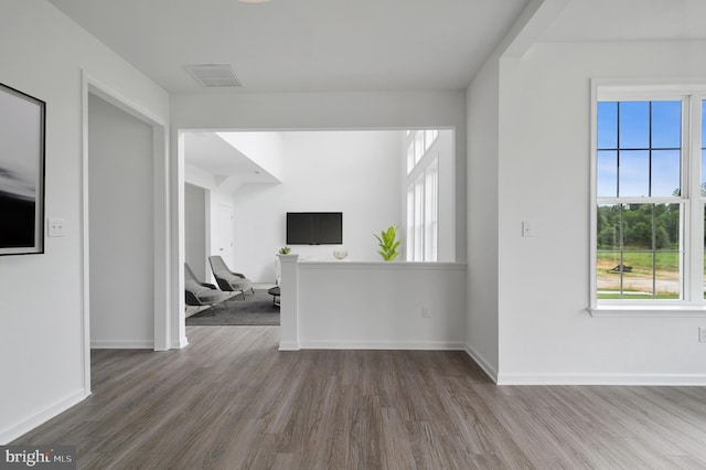 interior space with wood-type flooring and plenty of natural light