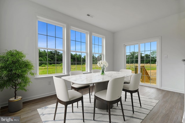 dining room with light hardwood / wood-style flooring and a wealth of natural light