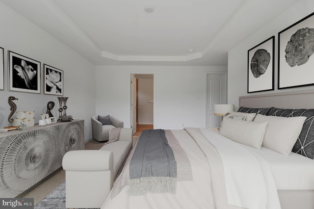 bedroom featuring a tray ceiling