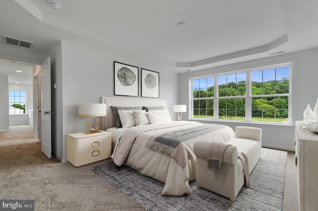 carpeted bedroom with a tray ceiling