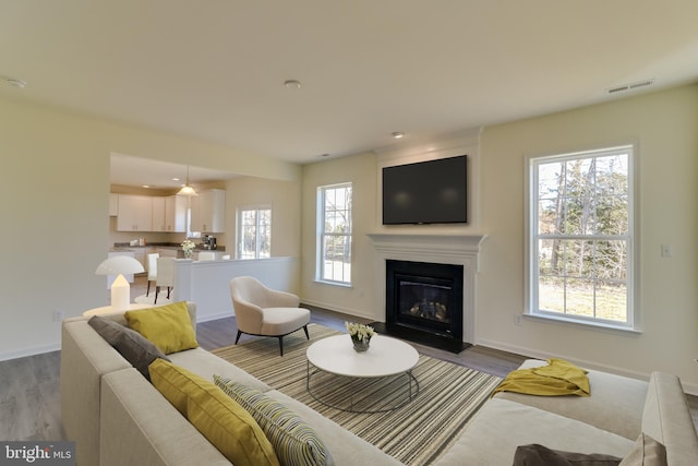 living room featuring light hardwood / wood-style floors and a wealth of natural light