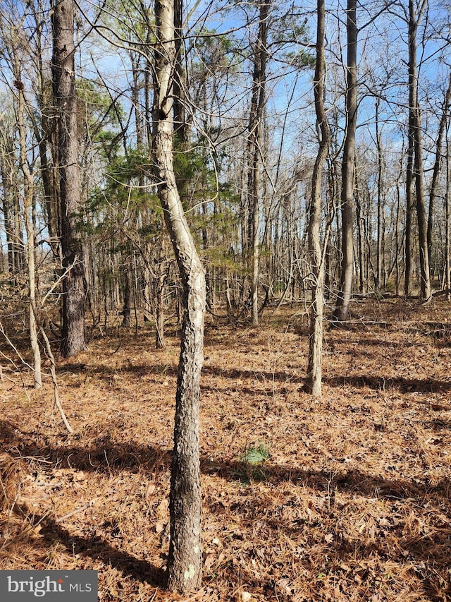 LOT69 Plantation, Montross VA, 22520 land for sale