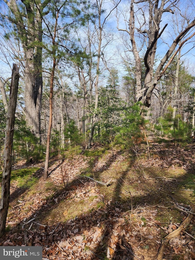 Listing photo 2 for LOT69 Plantation, Montross VA 22520