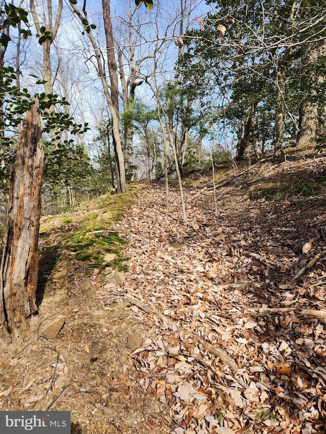 Listing photo 3 for LOT69 Plantation, Montross VA 22520