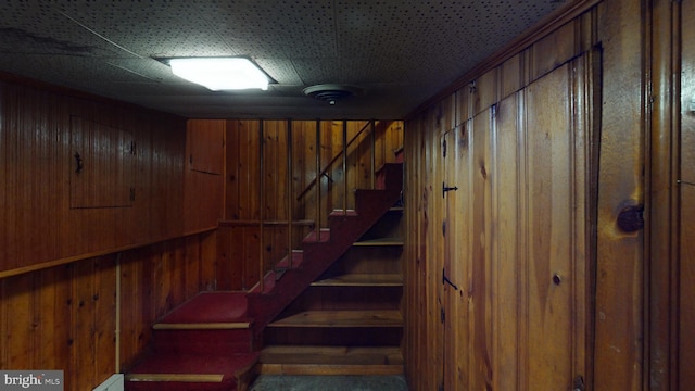 stairs with wood walls