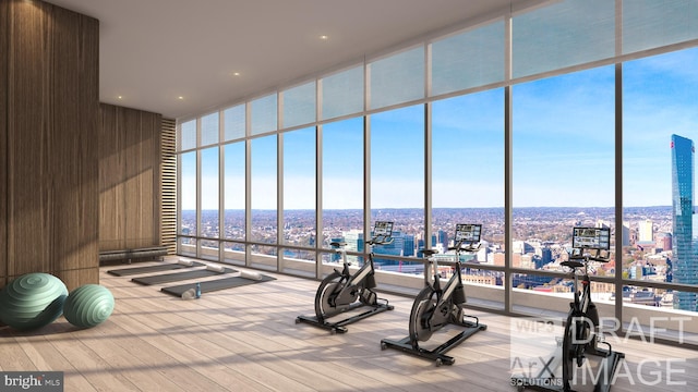 exercise room featuring light hardwood / wood-style flooring, floor to ceiling windows, and a high ceiling