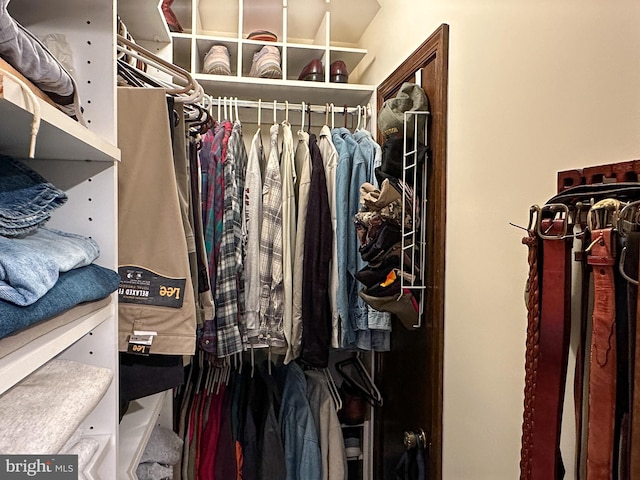 view of spacious closet