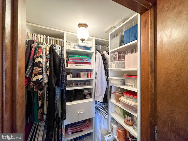 view of spacious closet