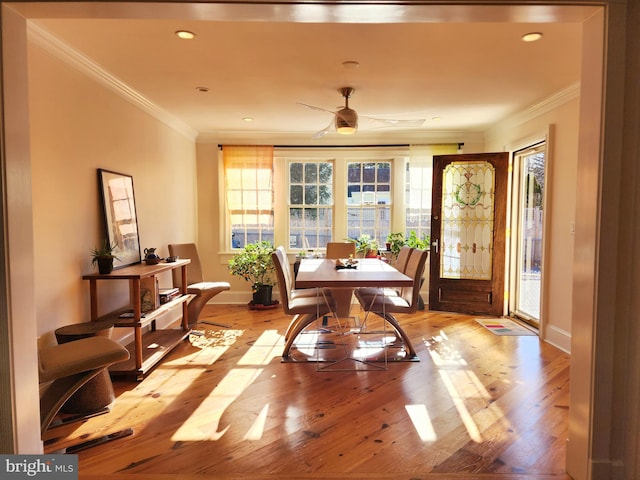 dining area featuring plenty of natural light, ornamental molding, light hardwood / wood-style floors, and ceiling fan