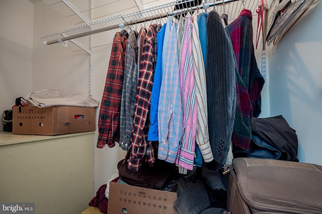 view of spacious closet