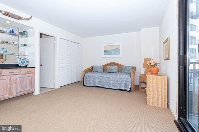 bedroom featuring multiple windows, light colored carpet, and a closet