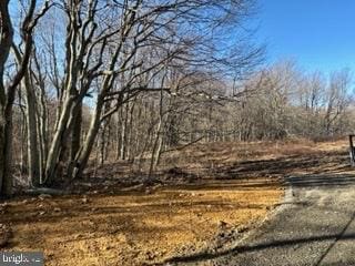 Lake Ridge Hts, Mount Storm WV, 26739 land for sale