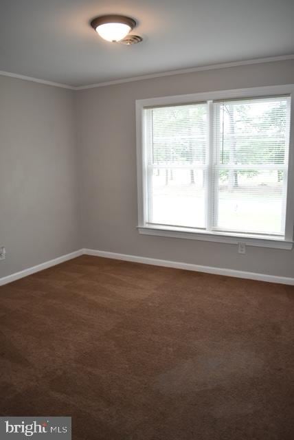 carpeted spare room with crown molding