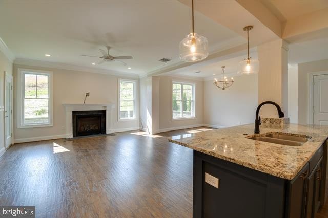 kitchen featuring a wealth of natural light, hardwood / wood-style floors, decorative light fixtures, and sink